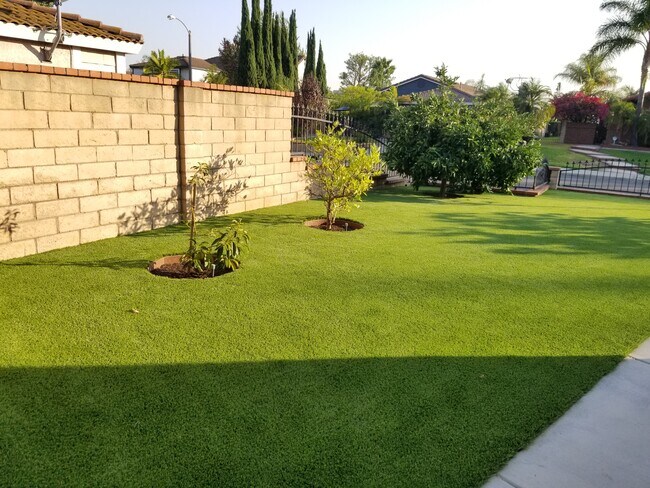 Front yard with fruit trees - 688 Featherwood Dr