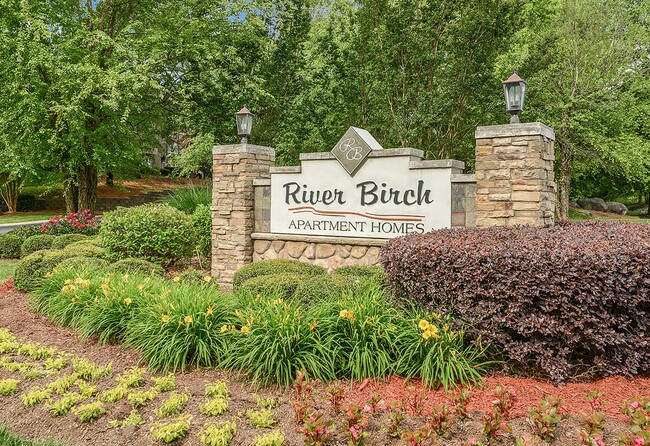 River Birch Apartment Homes Apartments Charlotte Nc Building Photo River Birch Apartment Homes