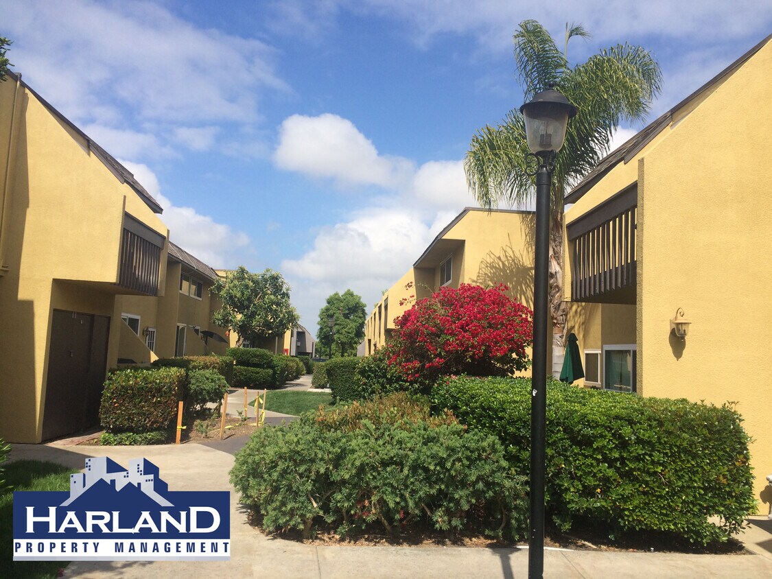 Primary Photo - 6555 Mount Ada Rd