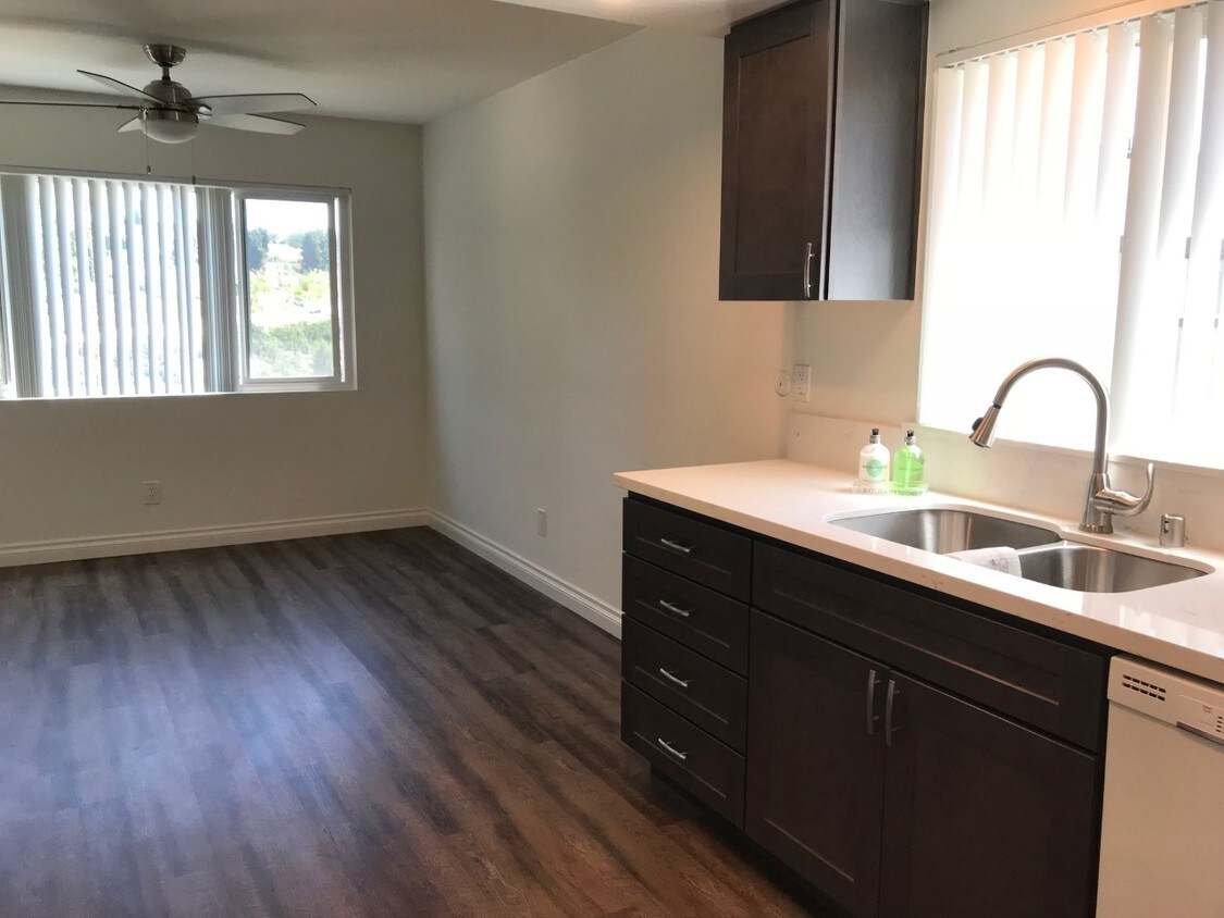 Complete reno Kitchen - 787 Amigos Way