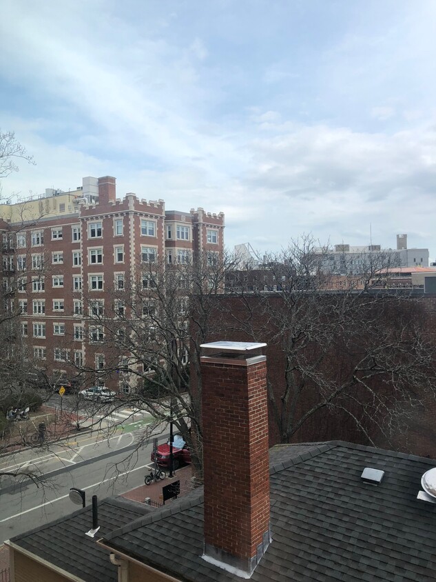 36 Ash St Unit 101, Cambridge, MA 02138 - Apartments in Cambridge, MA ...