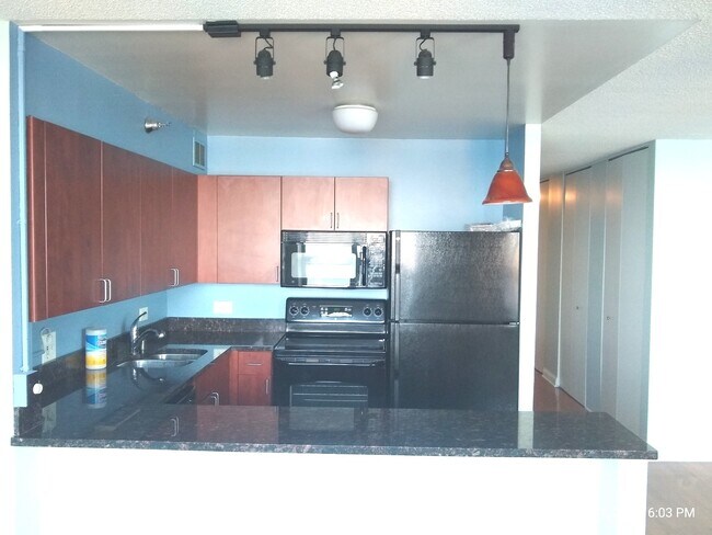 Building Photo - 474 N Lake Shore Dr