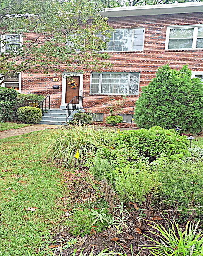 Landscaped Front Yard - 423 Earl St