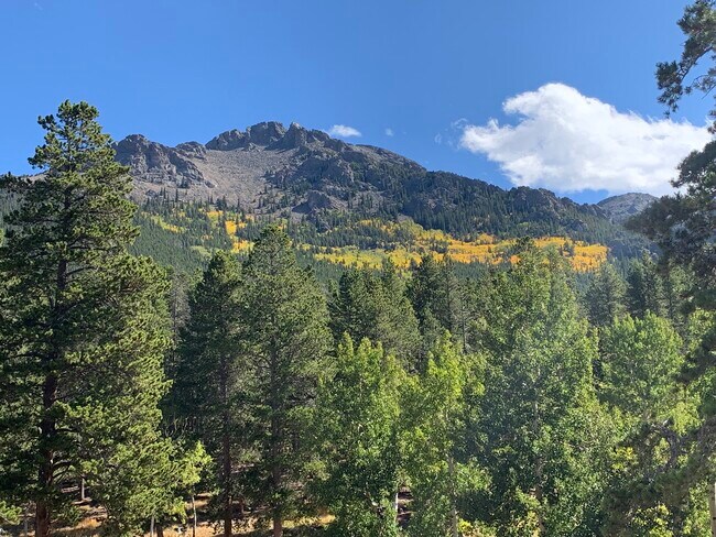 Foto del edificio - 75 Aspen Meadow Ln