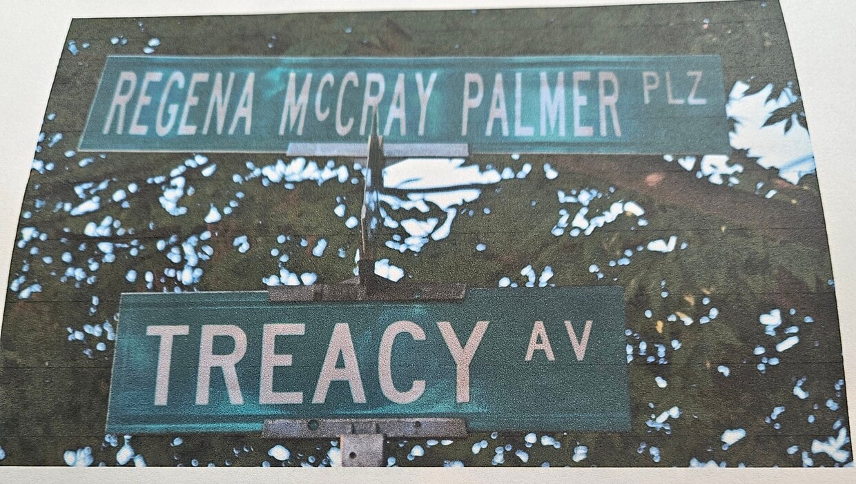 Personalized Street Sign - 67 Rose Ter (Newark, NJ)