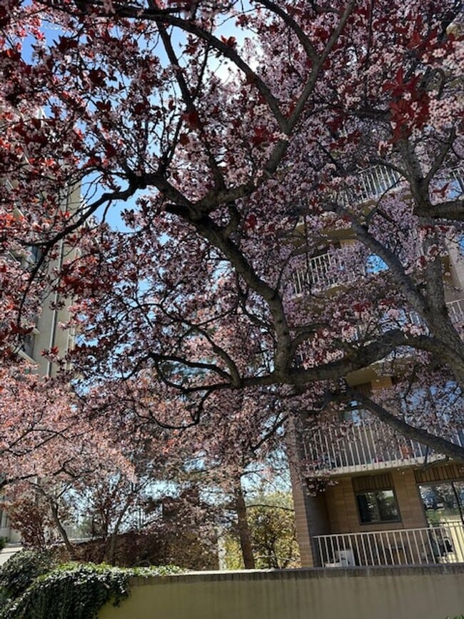 Foto del edificio - Gorgeous Penthouse in the heart of SLC!!!