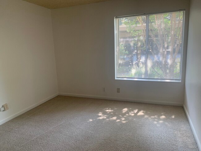 2nd Bedroom - 505 Cypress Point Dr