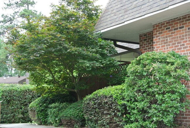 Photo - 200 Finley Forest Dr House