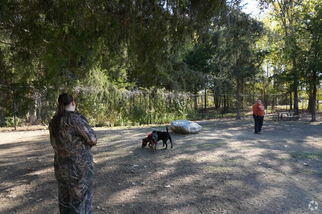 The Pavilion dog park in Brandon features separate small and large dog areas.