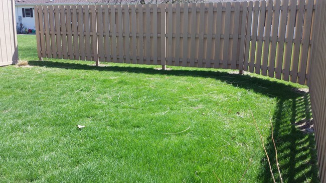 Semi private rear yard - 18 Maxwell St