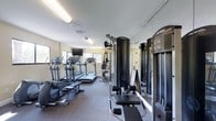 This fitness center offers a comprehensive workout environment designed to support a variety of exercise routines. The space is laid out on a single floor, making it easily accessible and straightforward to navigate. Large windows along the perimeter allow natural light to fill the room, contributing to an open and energizing atmosphere. The ceiling is finished with a textured surface and fitted with recessed fluorescent lighting to ensure the space remains well-lit throughout the day. A wall of floor-to-ceiling mirrors lines one side of the room, visually expanding the space and allowing users to monitor their form during workouts. The cardio section is well-appointed with multiple treadmills, elliptical trainers, and an upright bike, all from recognized fitness equipment brands. A mounted flat-screen television is positioned to face the cardio machines, providing entertainment during workouts. The strength training area features a multi-functional cable machine, offering a wide range of resistance exercises. The flooring consists of durable, patterned carpet tiles suited for a high-traffic fitness environment. Overall, the fitness center presents a clean, functional, and motivating space equipped to meet the needs of a broad range of fitness enthusiasts.