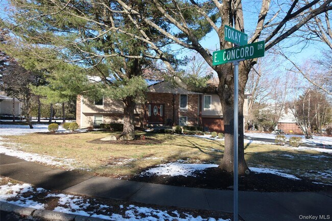 Foto del edificio - 1 Tokay Ln
