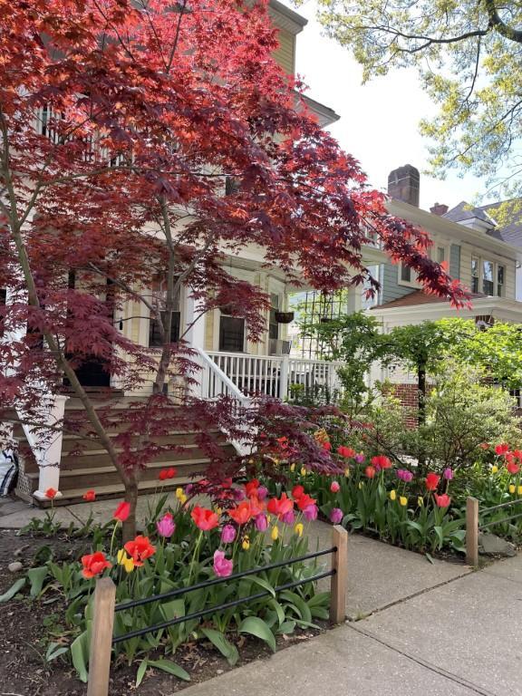 Foto principal - 2 bedroom in BROOKLYN NY 11226