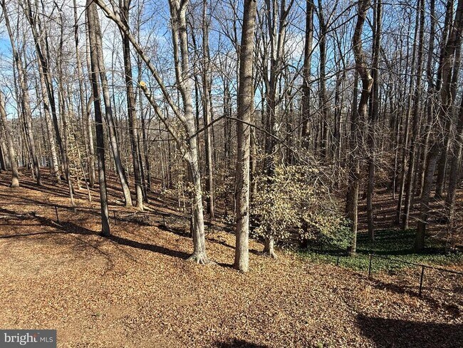 Building Photo - 12003 Skipjack Ct