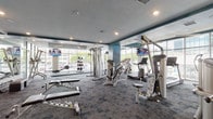 This fitness center is a thoroughly equipped, single-floor facility designed to support a full range of workout routines. The space is defined by expansive floor-to-ceiling windows along multiple walls, flooding the interior with natural light and offering open views of the surrounding urban environment. The patterned carpet flooring spans the entire facility, providing a functional and visually dynamic surface throughout.

The strength training area is well-appointed, featuring a multi-station cable machine, a comprehensive rack of dumbbells in graduated weights, adjustable weight benches, and a variety of selectorized resistance machines targeting multiple muscle groups. Full-length mirrors line one wall, enhancing the sense of space and supporting proper form during workouts.

The cardio section includes treadmills, Schwinn cycling bikes, elliptical machines, and a rowing machine, many of which are positioned directly in front of the large windows to provide an engaging view during use. A battle rope and a medicine ball rack round out the functional fitness offerings.

Mounted flat-screen televisions are positioned throughout the space for entertainment during workouts. Teal accent walls and exposed concrete ceiling elements in select areas add a modern, urban aesthetic. A sliding glass door connects the fitness center to an adjacent outdoor area, further enhancing the open and airy atmosphere of this comprehensive facility.