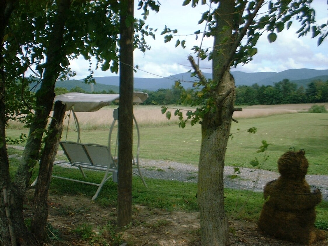 Ranch pastures - 15 Lewis St