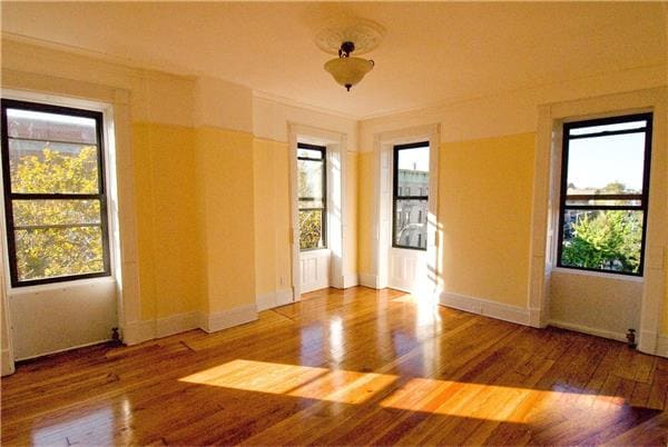 Building Photo - 393 Lewis Ave