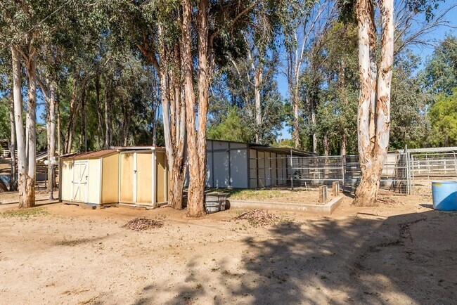 Foto del edificio - One bedroom Private home on Horse Property