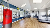 This fitness center is a thoughtfully designed single-level space that offers a comprehensive workout environment. The room features a striking vaulted ceiling that creates an open, airy atmosphere, complemented by multiple skylights that flood the space with natural light. Large windows along the walls further enhance brightness while offering views of the surrounding outdoor greenery.

The interior design is bold and energizing, with a deep navy blue accent wall prominently displaying the motivational phrase "BELIEVE IN YOURSELF" in large yellow and white lettering. Light hardwood-style flooring runs throughout, providing a clean and durable workout surface.

The space is well-outfitted with a diverse selection of equipment to support a full-body fitness routine. Cardio options include multiple treadmills and elliptical machines, while strength training is supported by a cable machine, a dumbbell rack with a full range of free weights, a functional training rig, and a bench. A dedicated boxing area features a punching bag and a rack stocked with medicine balls and kettlebells, catering to high-intensity interval and functional fitness training. A wall-length mirror on one side visually expands the space and allows for form-checking during workouts.

Glass-paneled doors provide direct access to the outdoors, adding to the sense of openness. A wall-mounted television offers entertainment during workouts. The overall ambiance is motivating, bright, and versatile.