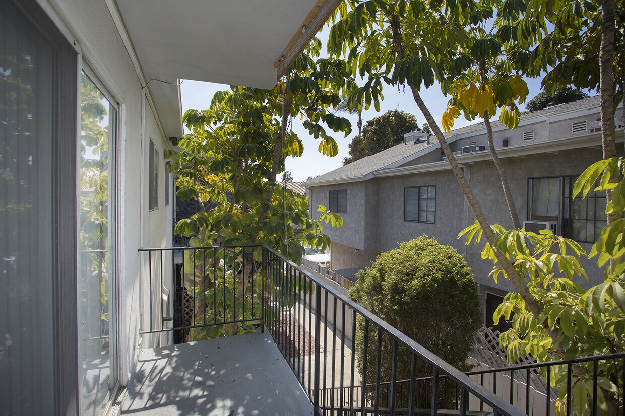 Primary Photo - 1228 Essex St