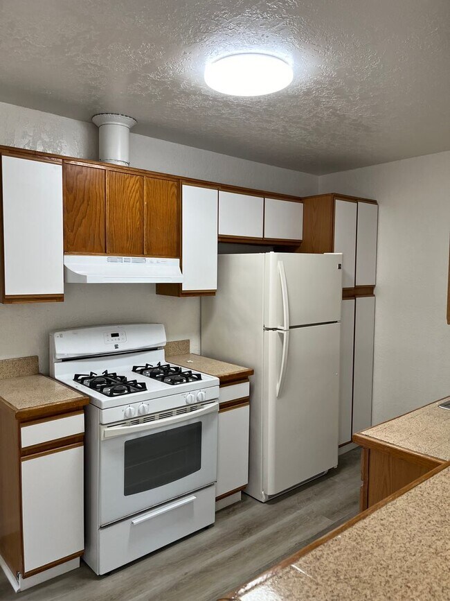 Building Photo - Normal Heights / Kensington 1 BR/1BA Cotta...