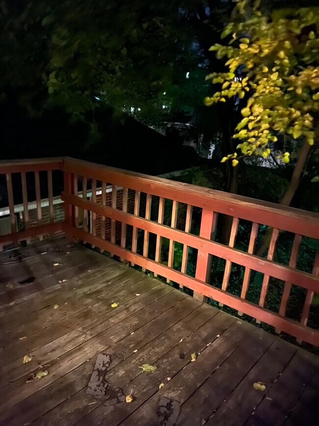 Back Deck - 435 W 9th St