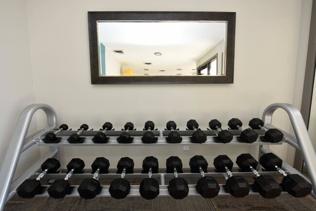 Free-weights in the Fitness Center - Palmer