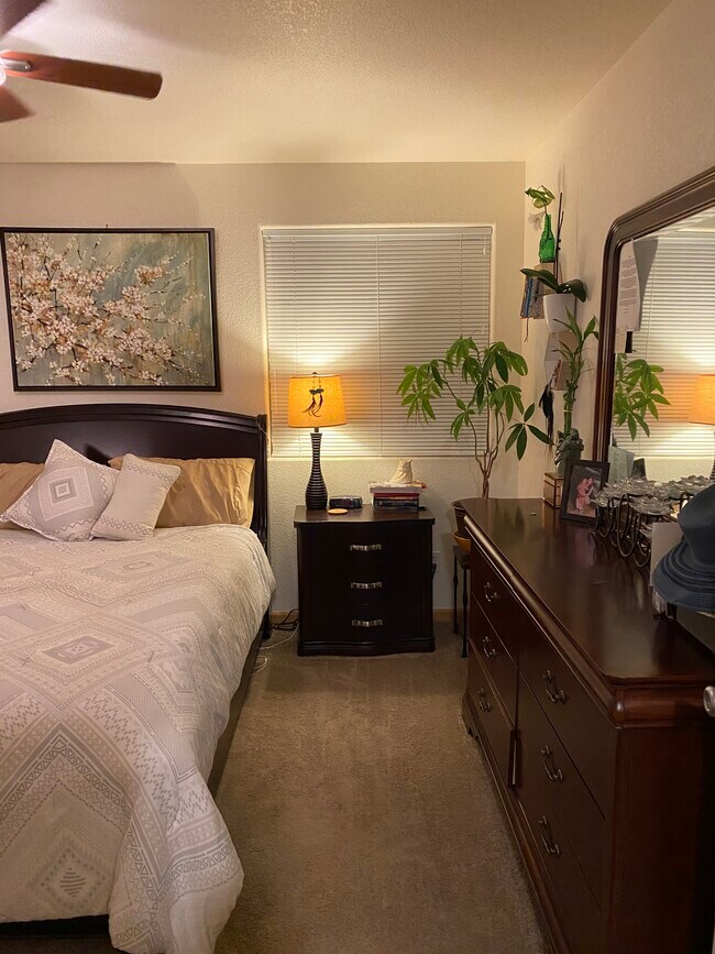 Primario - 3761 Mt Flora St