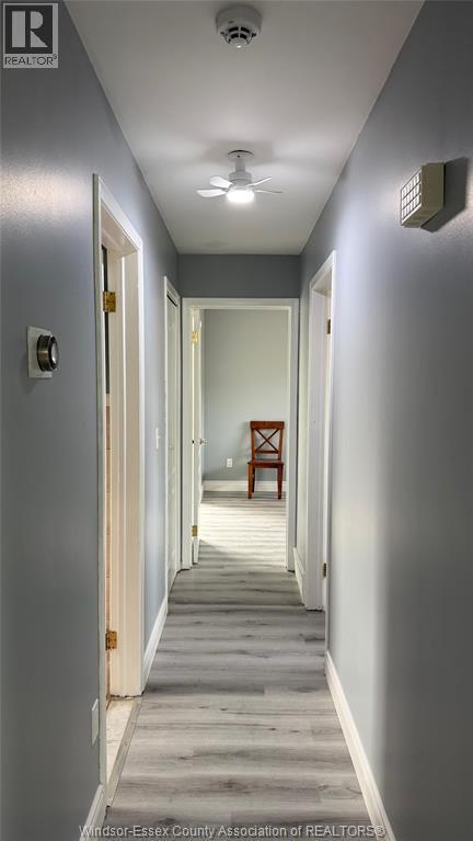 Photo du bâtiment - 3131 Briarbank Dr