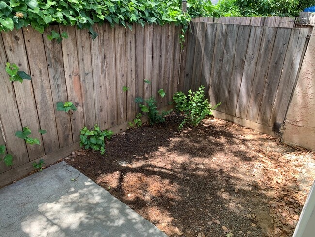 Back Patio - 532 Giuffrida Ave