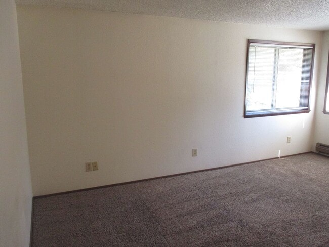Building Photo - Paige - 13104