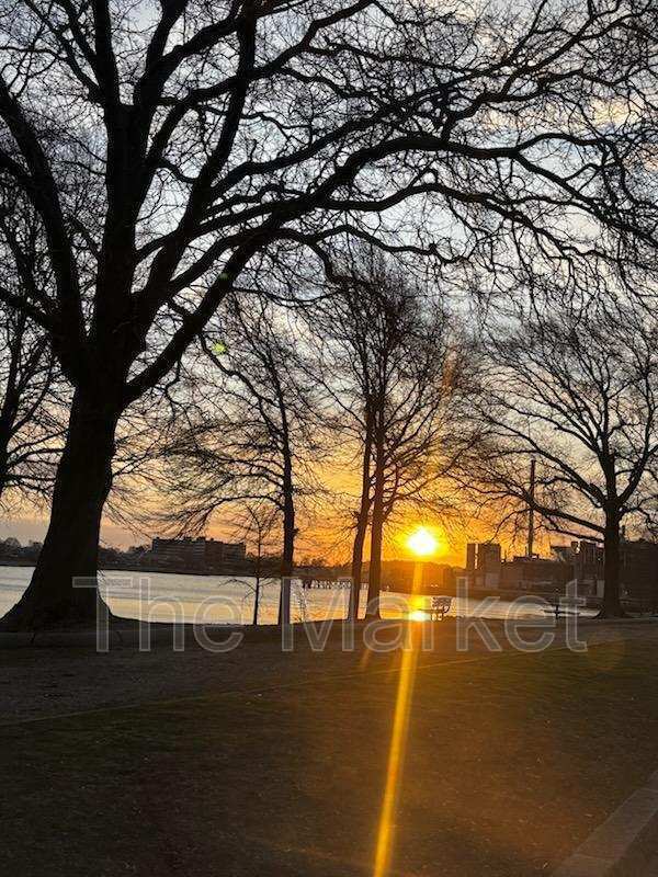 Foto del edificio - 75 Avalon Ave