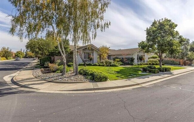 Foto del edificio - Private and Sizable 4BD/3BA Single Story Home in Livermore South, Easy Commute to 580 & 84!
