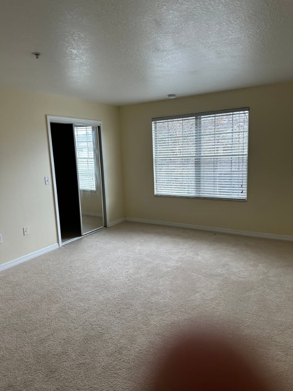 Foto del edificio - 10642 Regent Square Dr