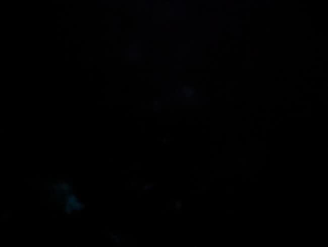 Building Photo - 8125 Bayou Bend Blvd