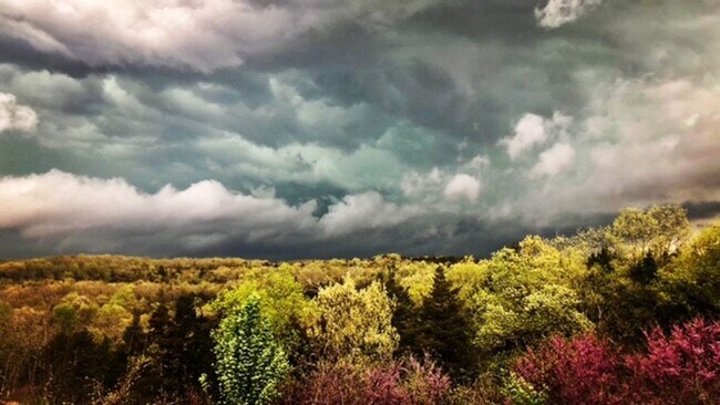 Foto del edificio - Country Living