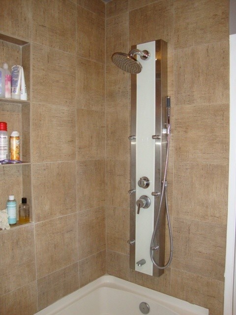 shower - 1750 Camino Palmero St