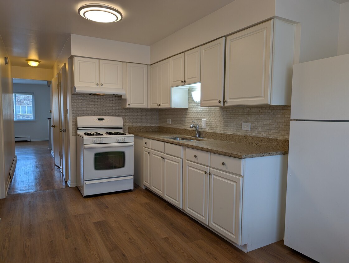 Kitchen - 10459 Carol Ct (Rosemont, IL)
