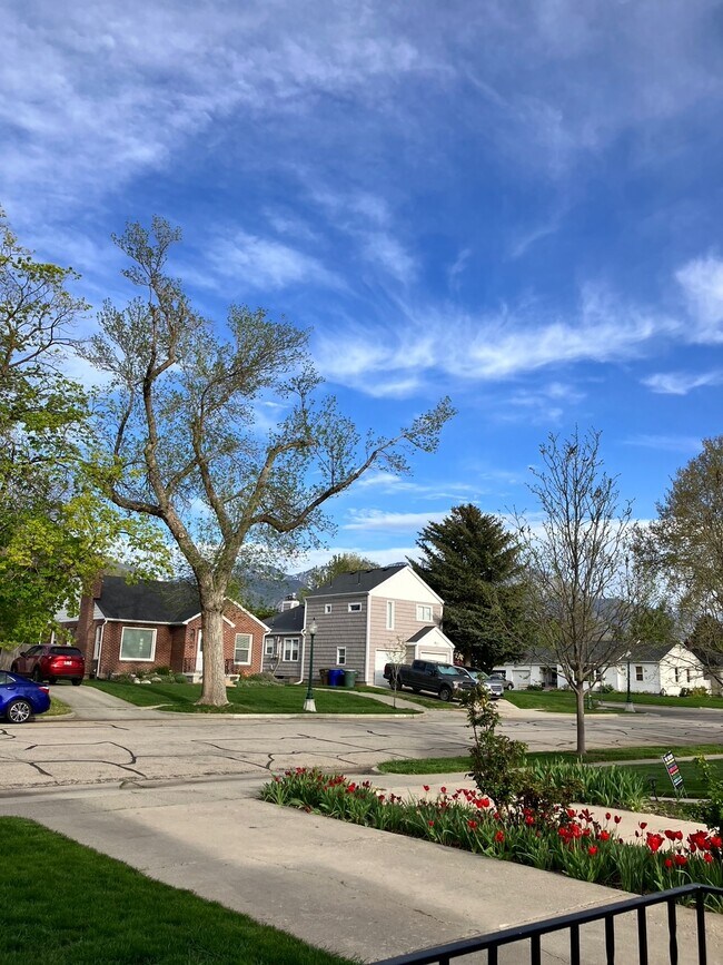 View from front porch - 2158 S 1800 E