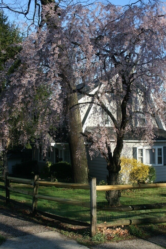 Foto del edificio - 1544 Ferndale Ave