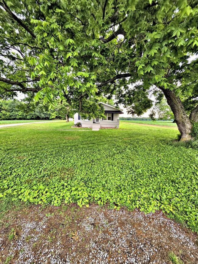 Building Photo - HOUSE FOR RENT - COURTLAND