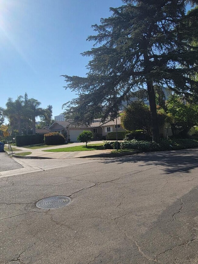 Foto del edificio - Charming 1950's Home in Encino, CA