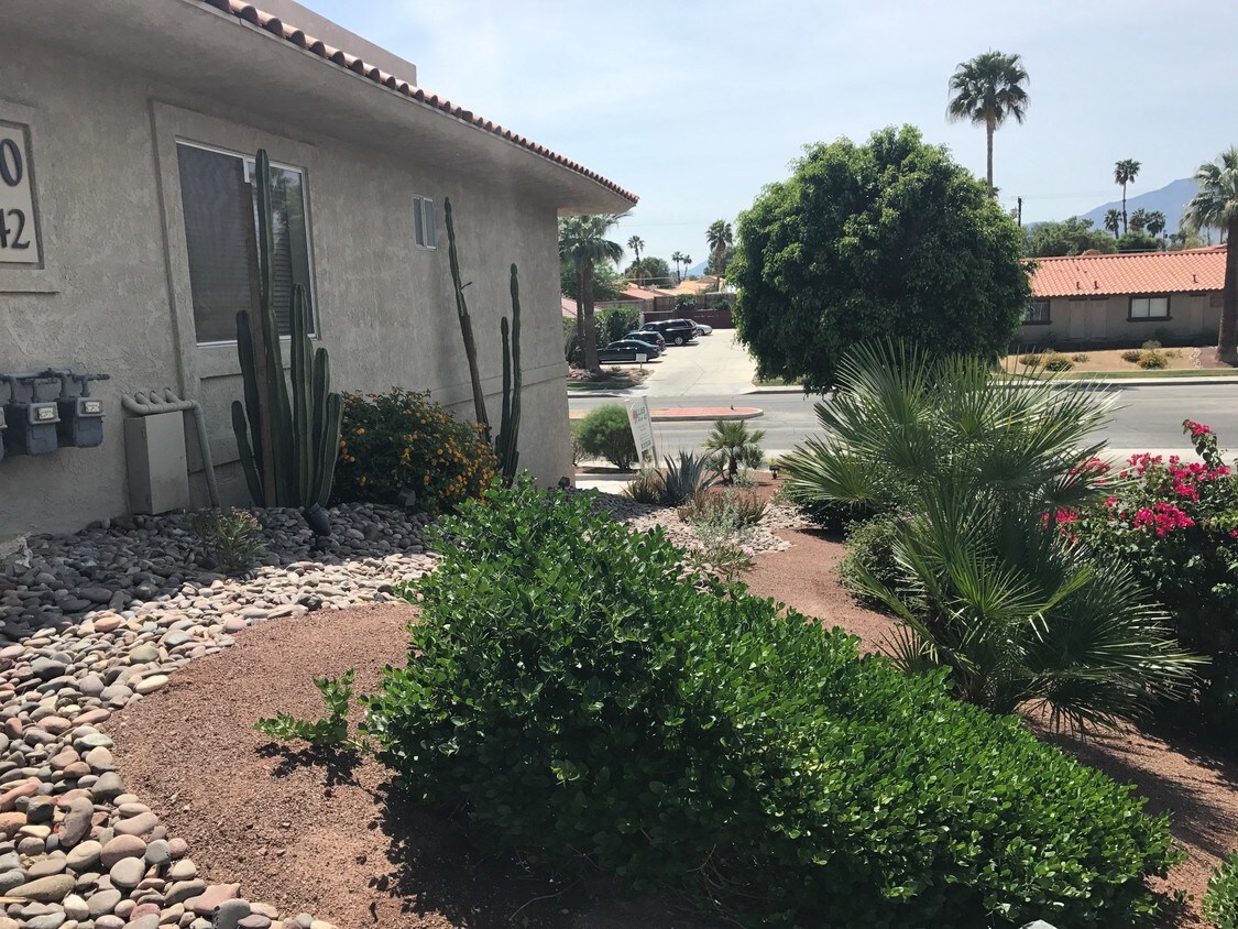 Primary Photo - 79740 Ave 42