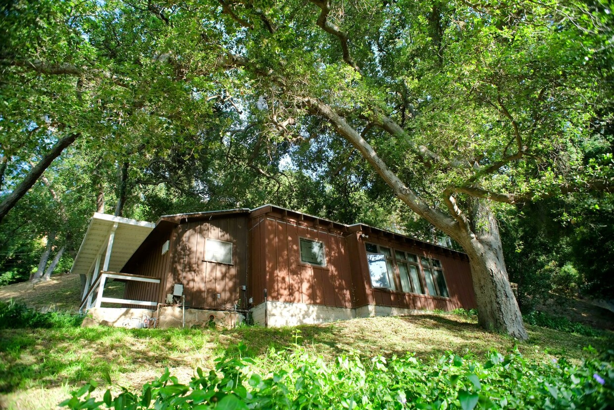 Primary Photo - 9710 Mistletoe Rd
