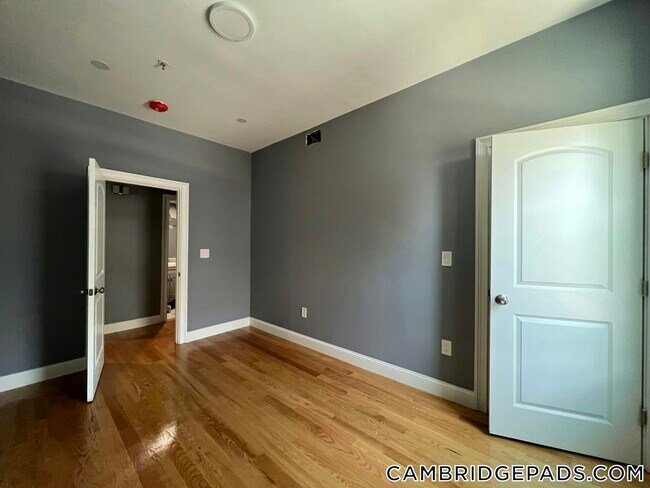 Building Photo - 339 Cambridge St