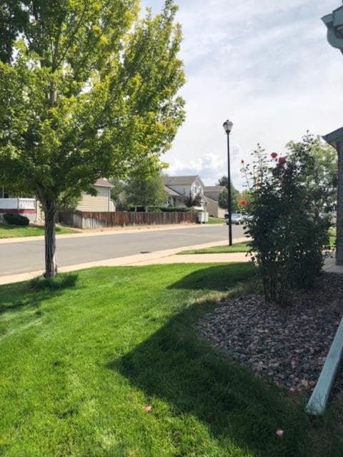 Foto del edificio - Large & Modern 2BR/2.5BA Home in Cherry Creek School District! AVAIL 02/15