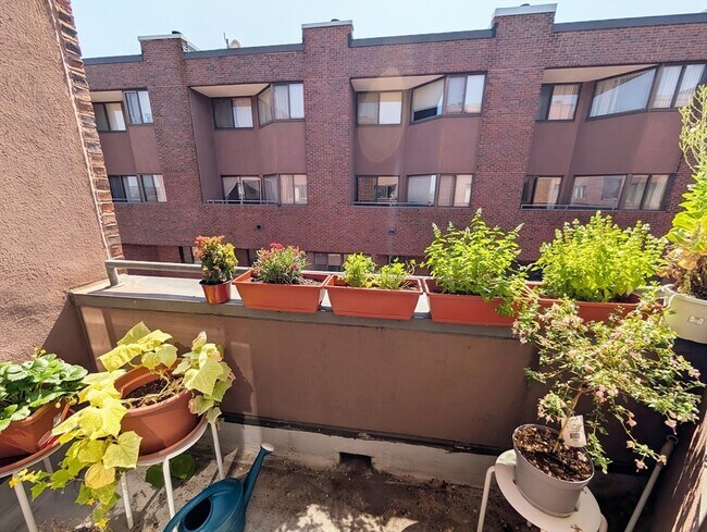 Foto del edificio - 147 Kelton St