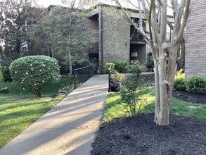 Building Photo - 116 Harding Pl