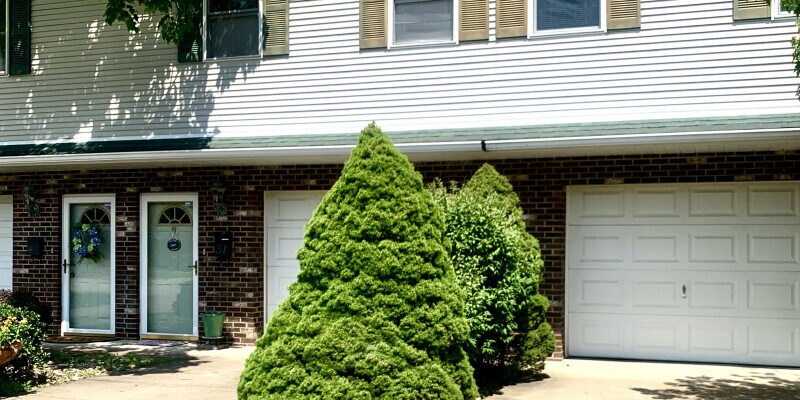 Primary Photo - Miller #8 55