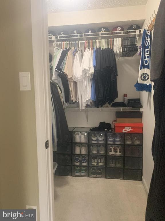 Building Photo - 4823 Shellbark Rd